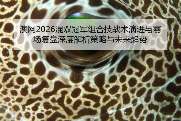 澳网2026混双冠军组合技战术演进与赛场复盘深度解析策略与未来趋势