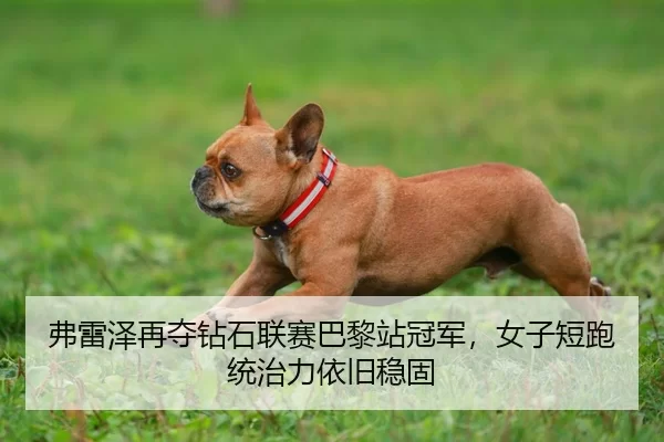 fu-lei-ze-zai-duo-zuan-shi-lian-sai-ba-li-zhan-guan-jun-nv-zi-duan-pao-tong-zhi-li-yi-jiu-wen-gu-3-245.jpg