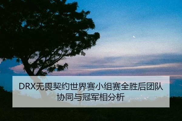 wu-wei-qi-yue-shi-jie-sai-xiao-zu-sai-quan-sheng-hou-tuan-dui-xie-tong-yu-guan-jun-xiang-fen-xi-2-504.jpg